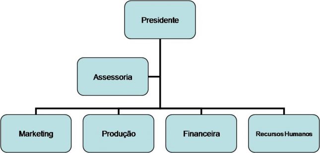 Tipos De Estrutura Organizacional Veja Quais S O E O Que Sou