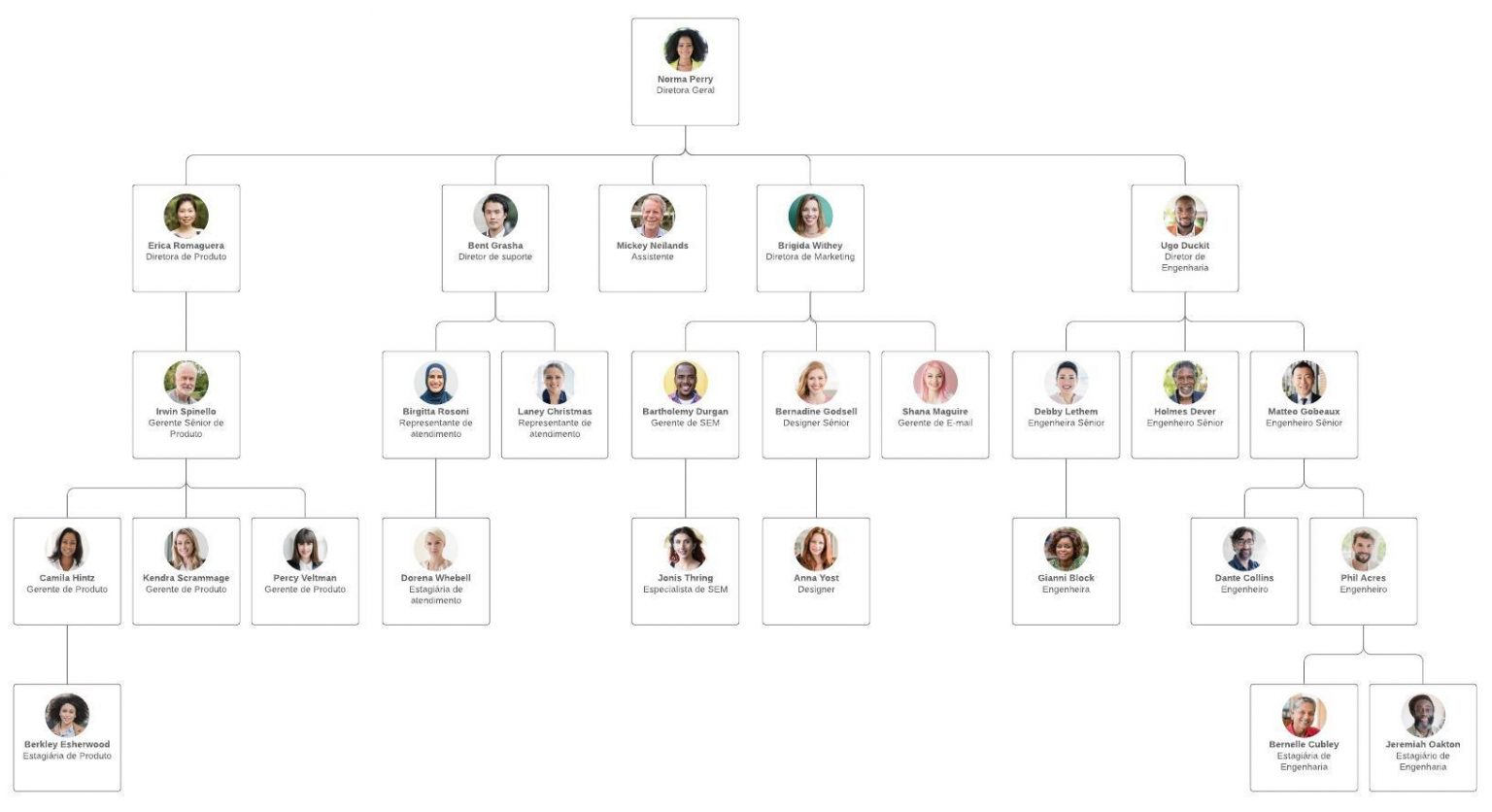 O Que é Estrutura Organizacional? Veja Tudo Sobre! - Sou Secretária